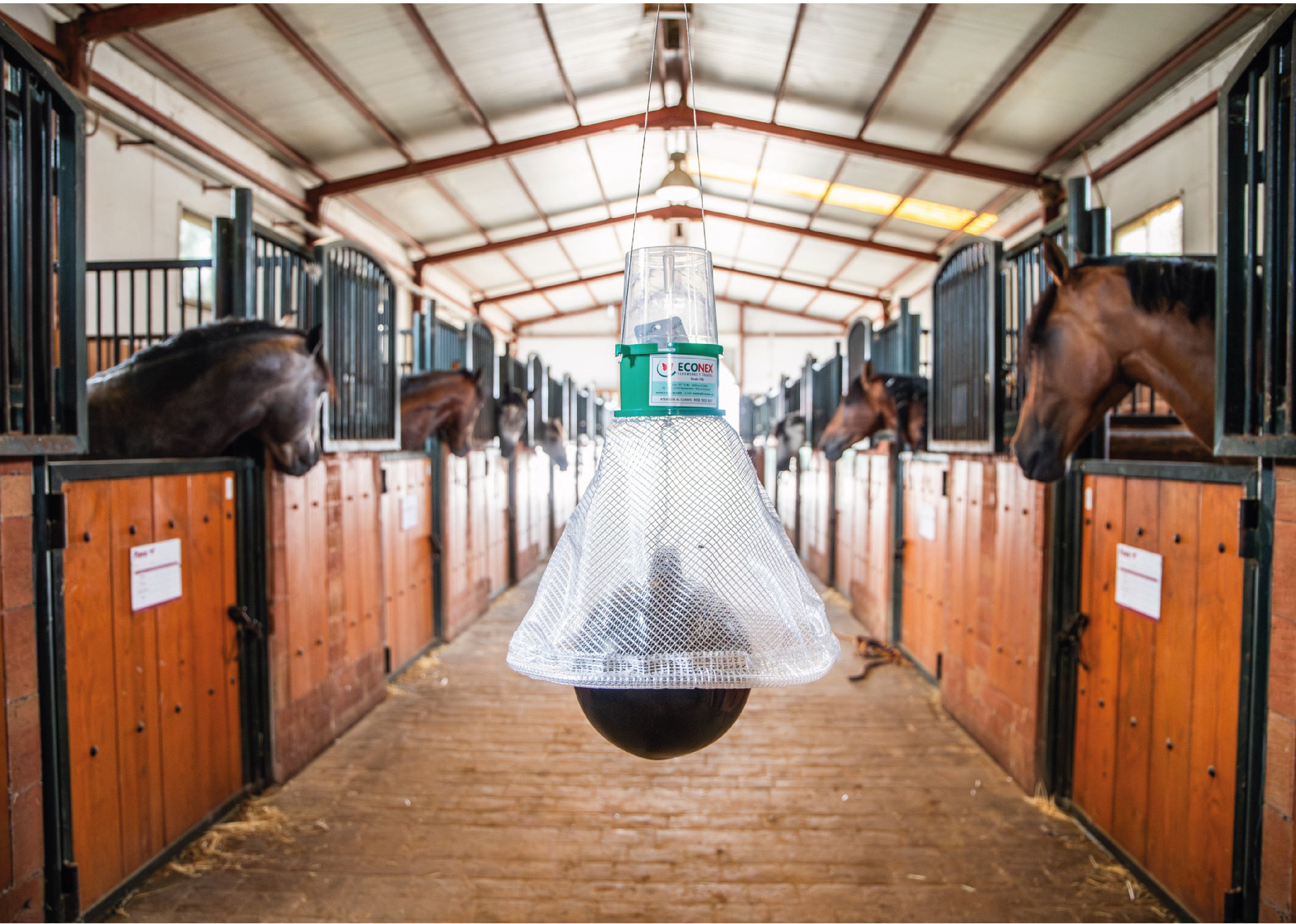 ECONEX HORSEFLY TRAP installed